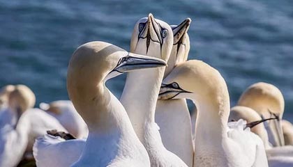 九游游戏中心官网-高光时刻：那些场上经典瞬间难以忘怀！，高光时刻的歌曲