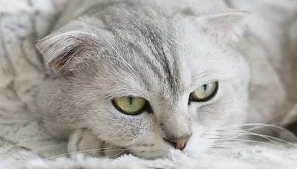 九游游戏中心官网-高光时刻：那些场上经典瞬间难以忘怀！，高光时刻的歌曲