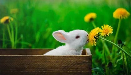 九游游戏中心官网-高光时刻:那些场上经典瞬间难以忘怀!,高光时刻的歌曲