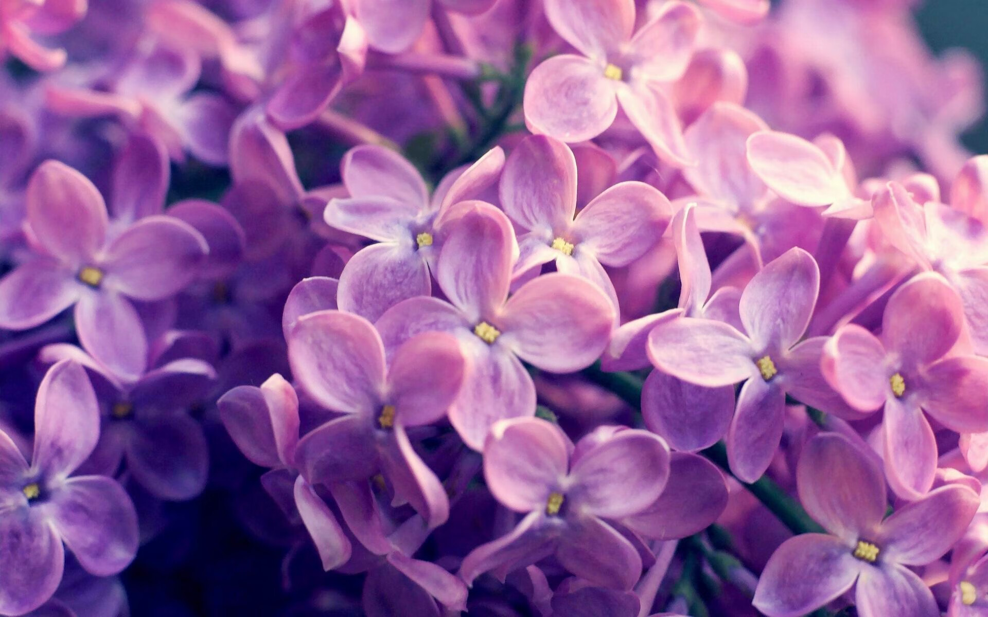 九游体育-乌克兰队主场击败斯洛文尼亚,小组出线形势乐观,乌克兰国家队比赛