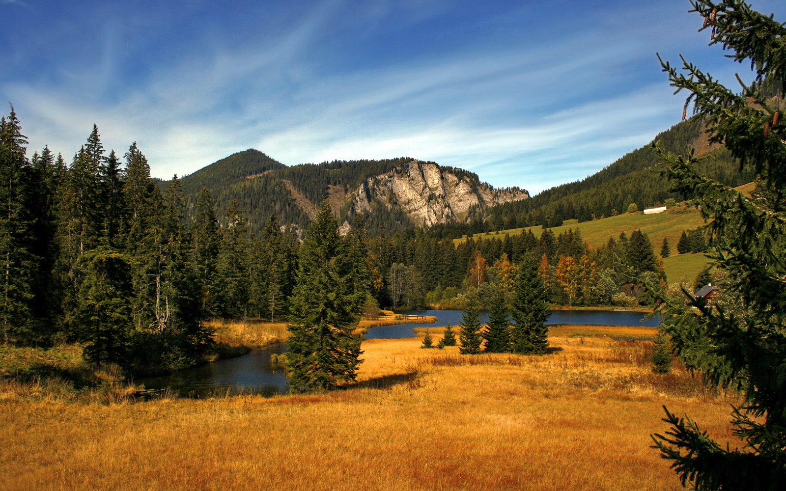 Nine Gaming-博卡青年战胜独立队，士气大振，博卡青年2020主力阵容