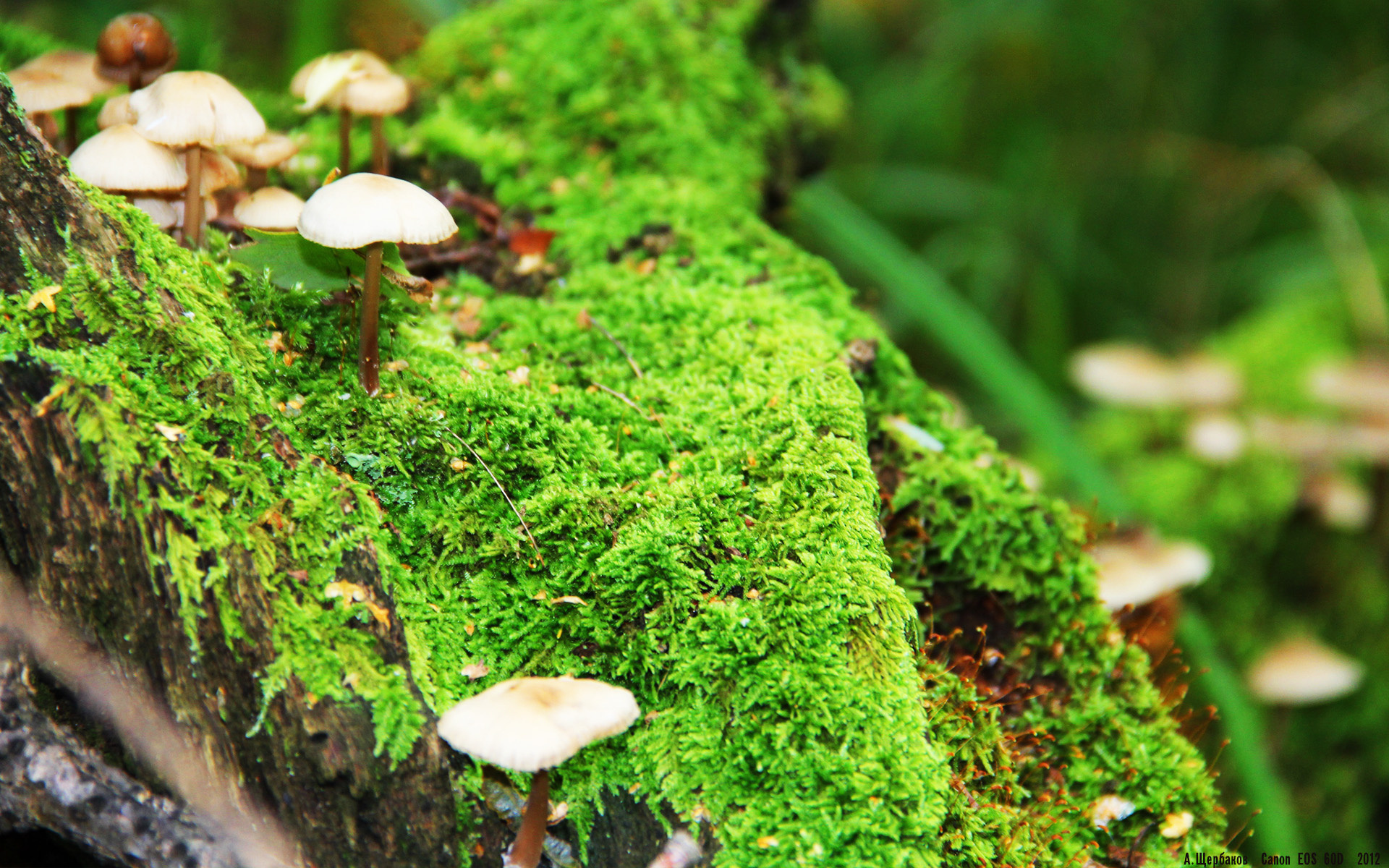 九游体育app-南安普顿防守体系优化,圣玛丽球场稳固后防,南安普顿st margaret's