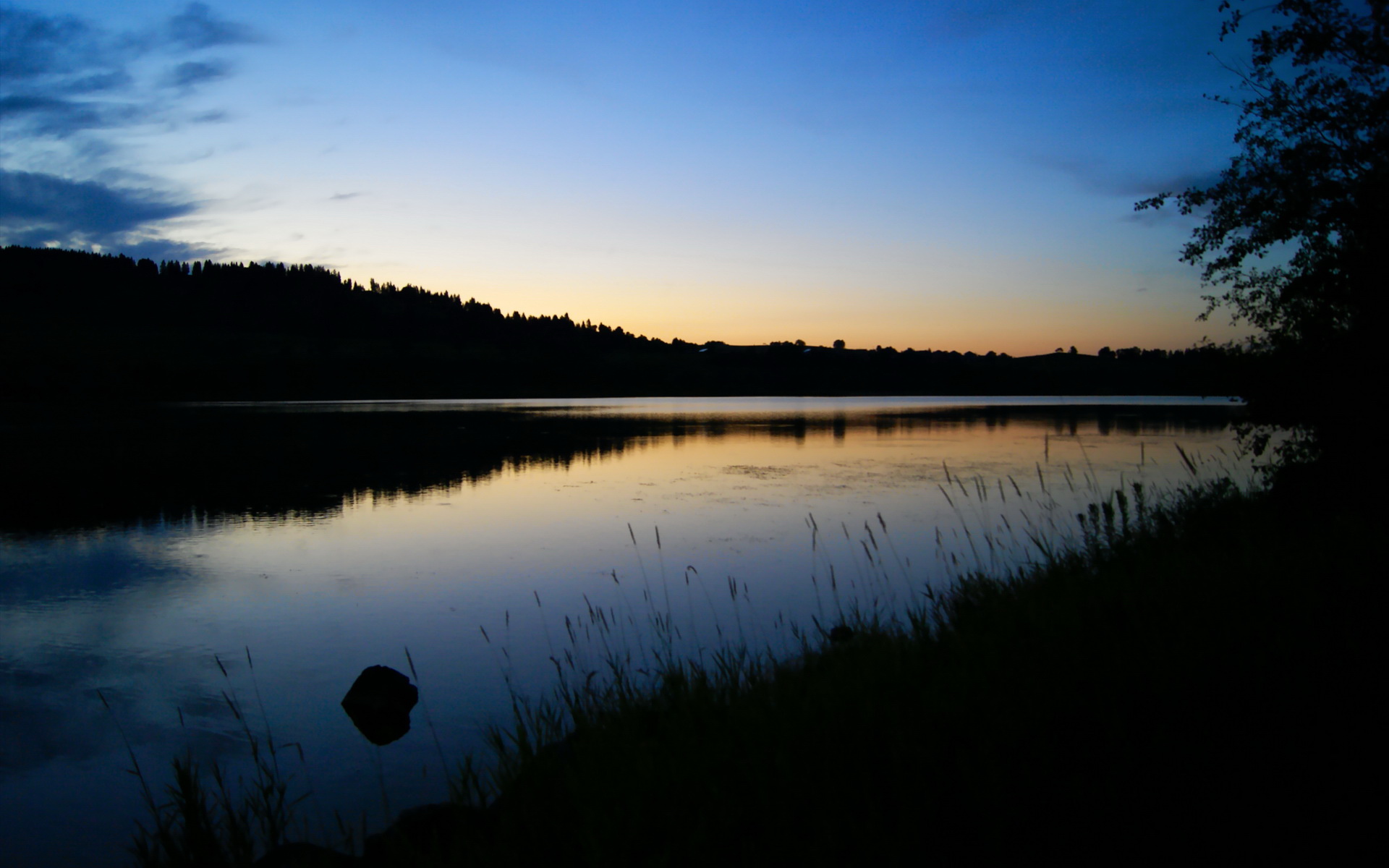 九游游戏-山东队击败深圳,锁定季后赛资格,山东对深圳篮球比赛