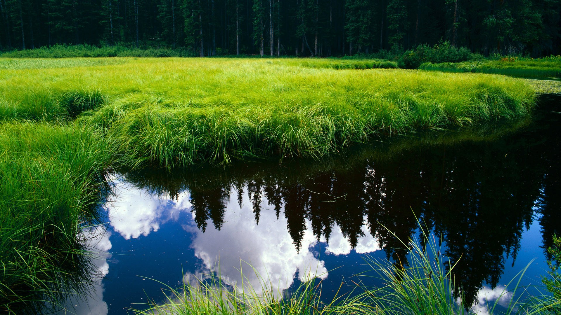 Jiuyou Sports-战术纪律性是否成为中下游稳定关键指标，战术规则什么意思