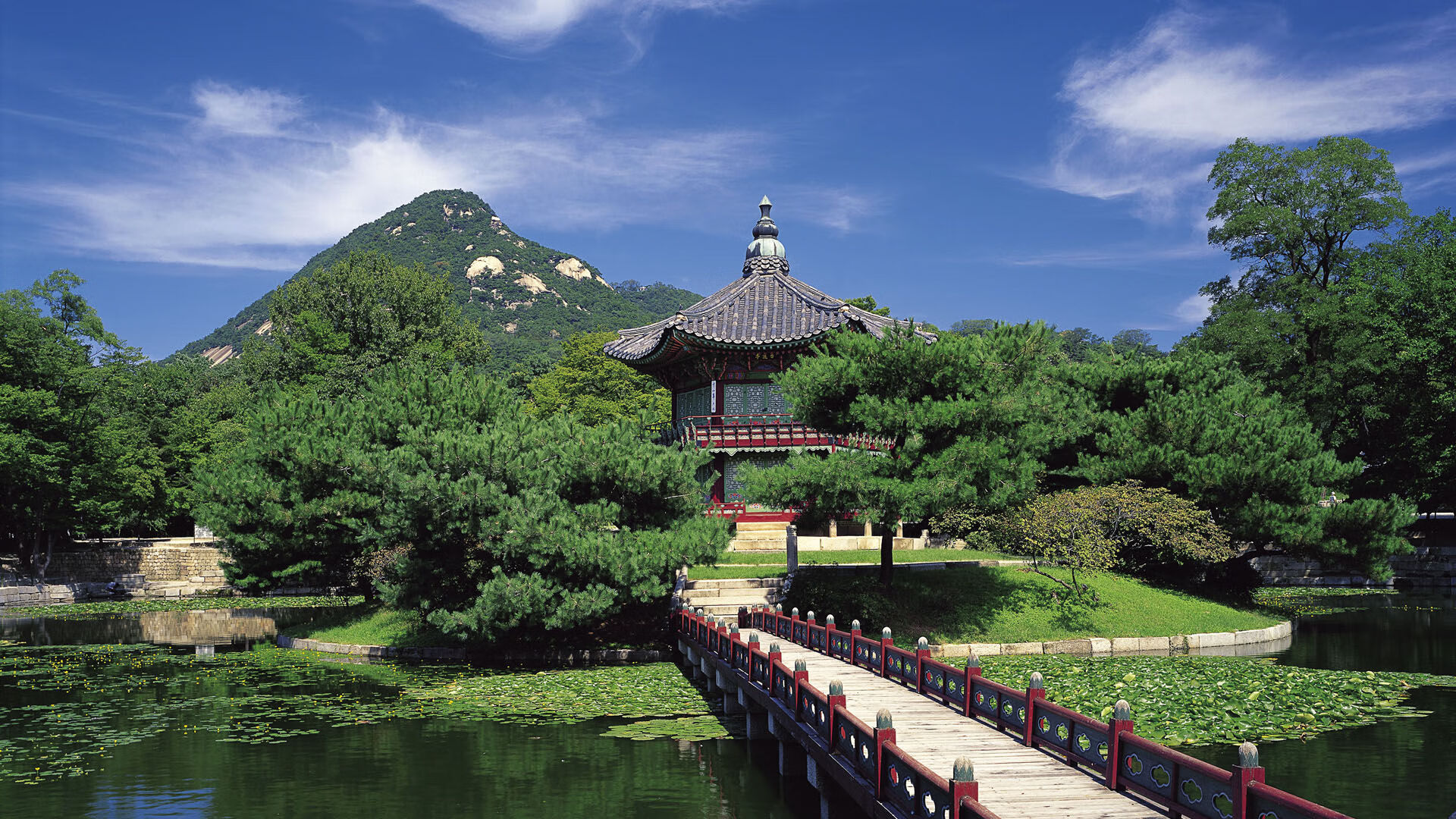 jiuyou-王者荣耀职业联赛实施运动员行为规范，王者荣耀参加职业联赛的要求是什么