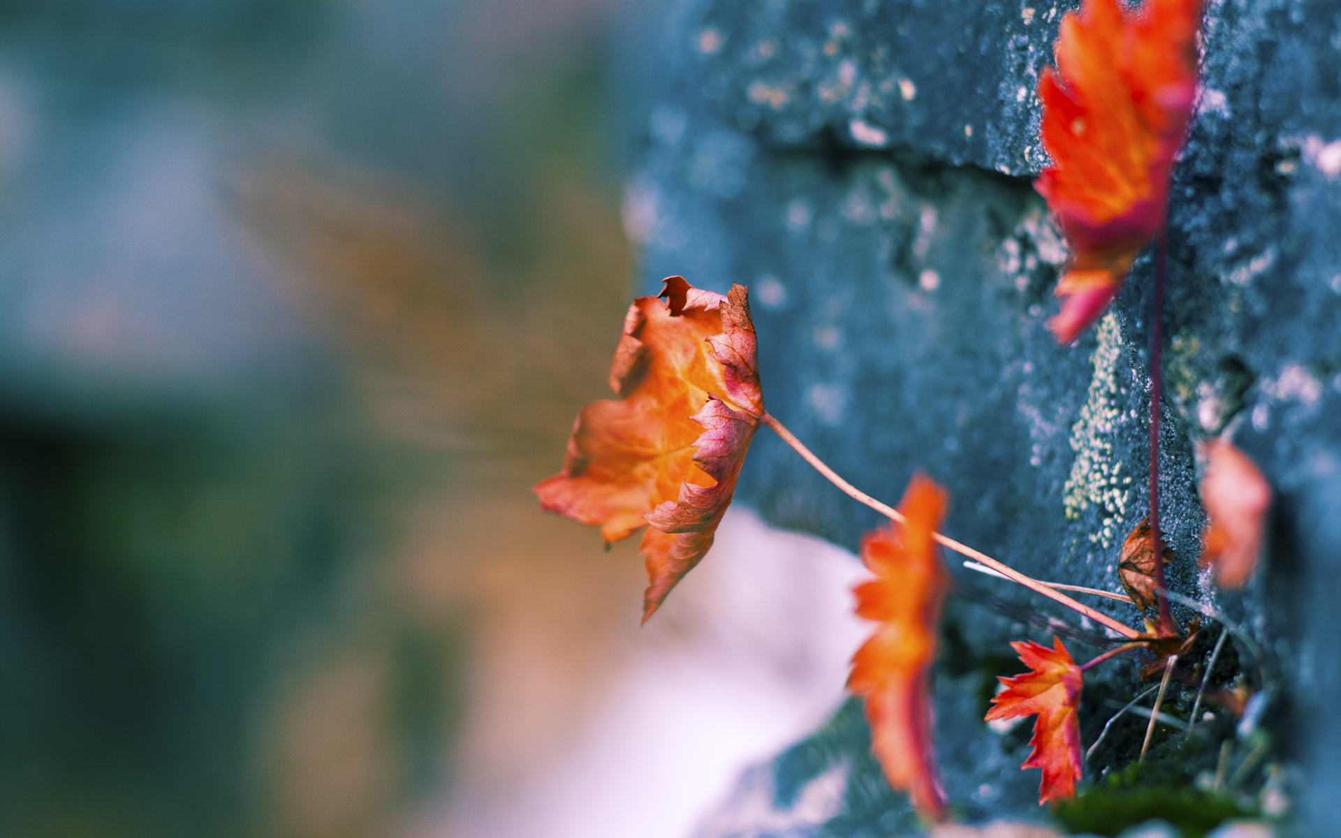 九游网址-雄鹿主场大胜灰熊,浓眉分独自撑起湖人,雄鹿vs灰熊比赛取消