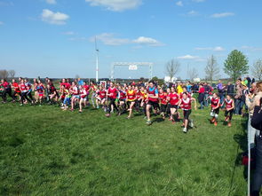 九游体育网页入口-社区体育发展政策落地情况跟踪,社区体育发展对策