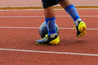 详细阅读:九游体育-足球产业链:从青训到转播的全产业生态,足球产业主要经营内容 九游体育-足球产业链:从青训到转播的全产业生态,足球产业主要经营内容