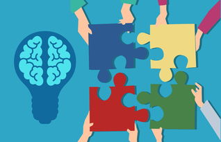 九游娱乐入口-青少年运动损伤防护知识普及策略及效果评估，青少年运动损伤防护知识普及策略及效果评估