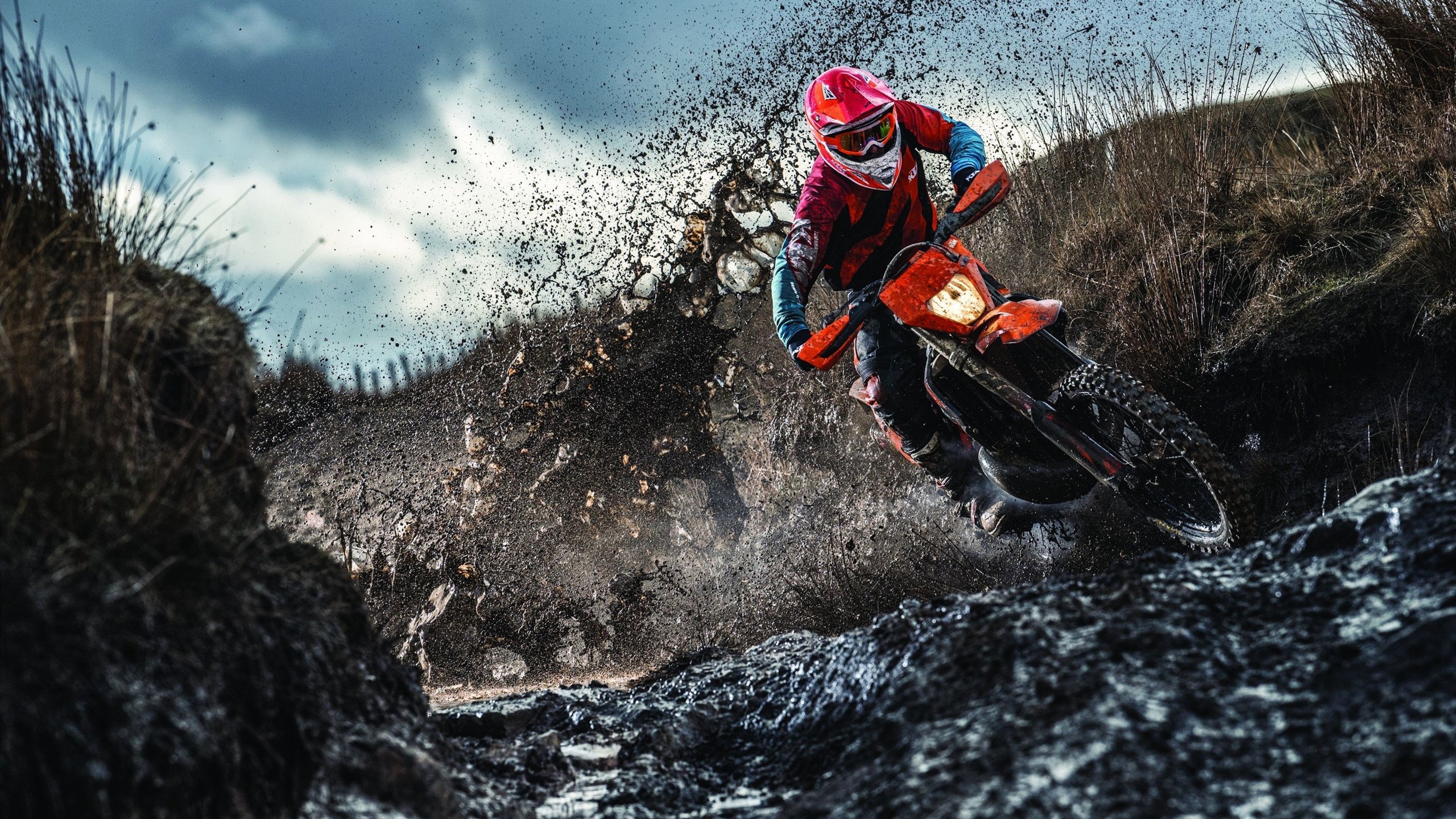 【马克·塞尔比】防守逼人：他如何用策略击退对手？，马克·塞尔比老婆